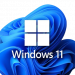 windows 11
